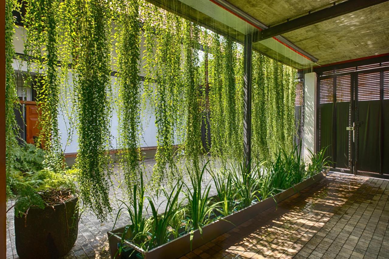 Bed and Breakfast Om Shambhala Kolombo Exteriér fotografie
